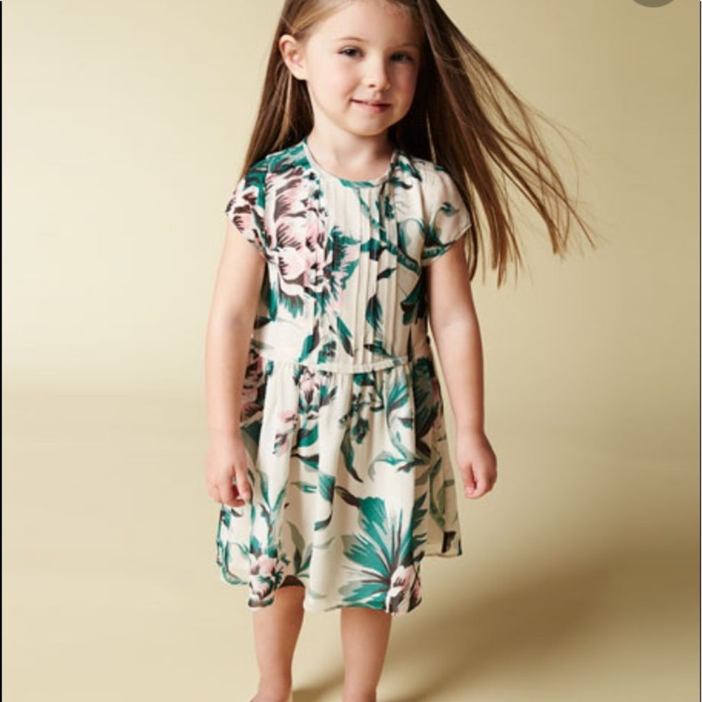 Burberry Teresa Pintuck Floral Silk Garden Dress Size 2 Years